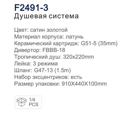 Frap F2491-3. Изображение №3