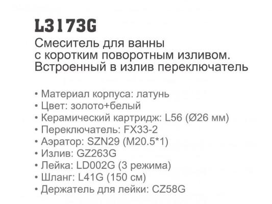 Ledeme L3173G. Изображение №3